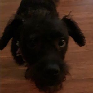 Meet your Posher, Tom